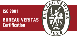 logo bv2